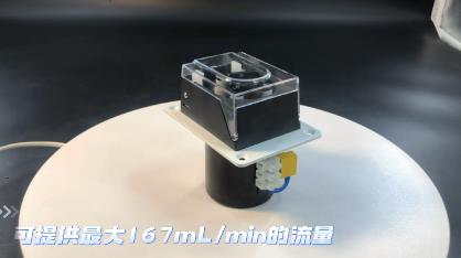 OEM 03+TH15 small fixed speed peristaltic pump